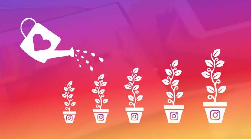 Improve Instagram Presence