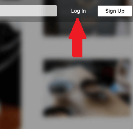 Log in to your Flickr Account